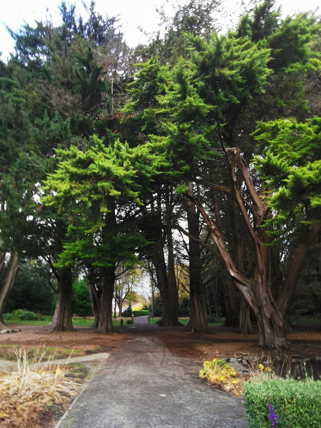 Invercargill, Part I